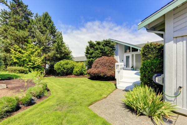 Landscape Curb Repair